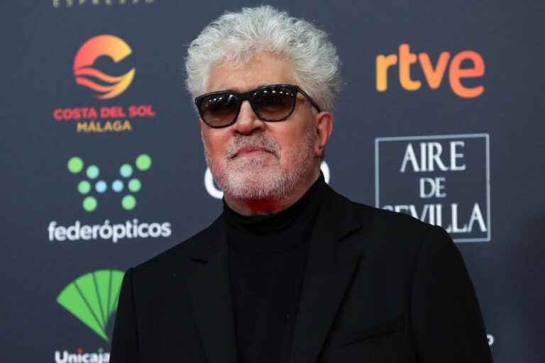 Film in English |  Almodovar pulls out of project with Cate Blanchett