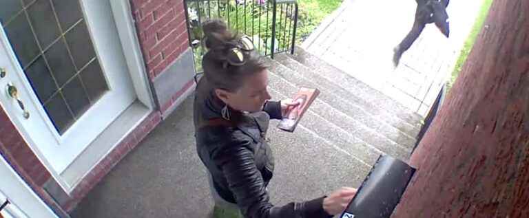 Filmed removing a PQ leaflet from a mailbox: the QS candidate withdraws