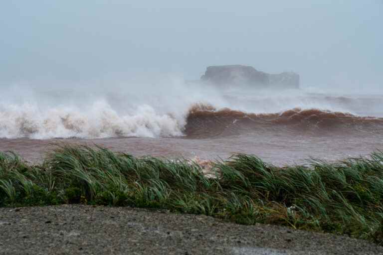 Fiona Storm |  Person rescued after being swept into ocean