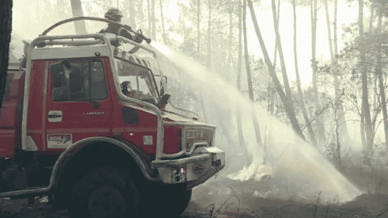 Fire in Gironde: the fire is contained in Arès, but not yet fixed