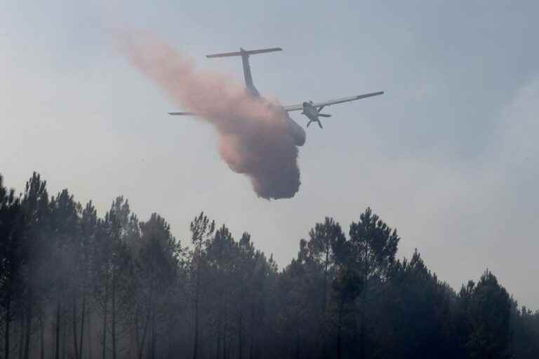 Fires in Charente.  At least 350 hectares burned after several fire starts