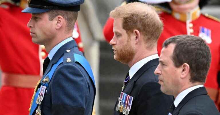 Funeral of Elizabeth II: William and Harry, the “enemy” brothers united in this historic moment