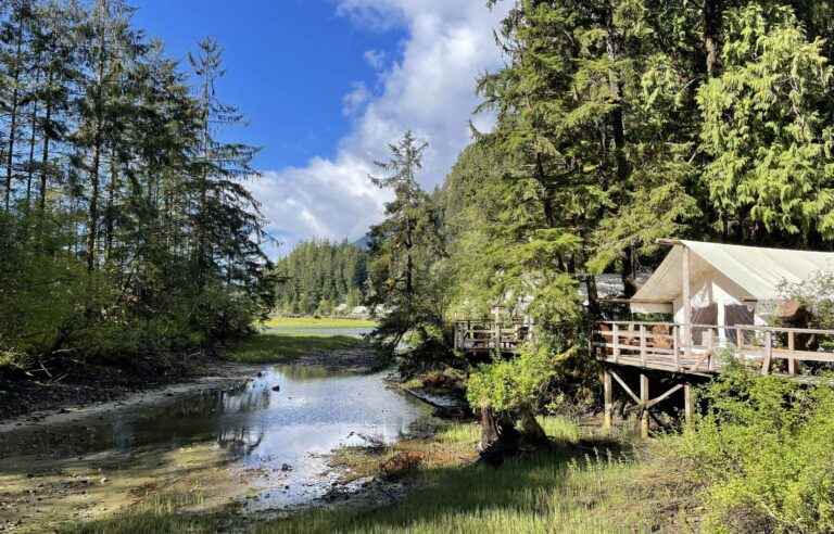 Glamping stay at Clayoquot Wilderness Lodge