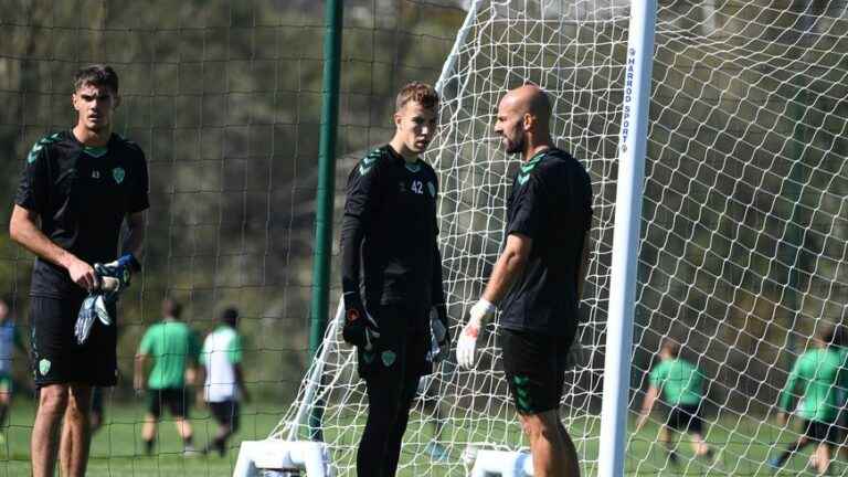 Green back in goal against Pau