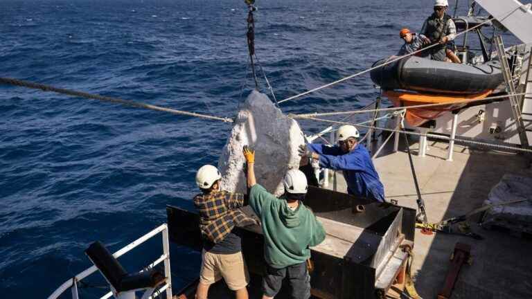 Greenpeace drops boulders in English Channel to protest ‘destructive’ fishing