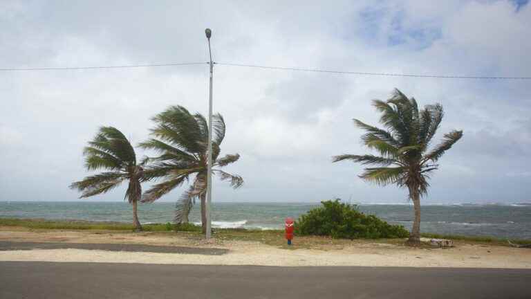 Guadeloupe placed in red vigilance “heavy rains” and “thunderstorms”