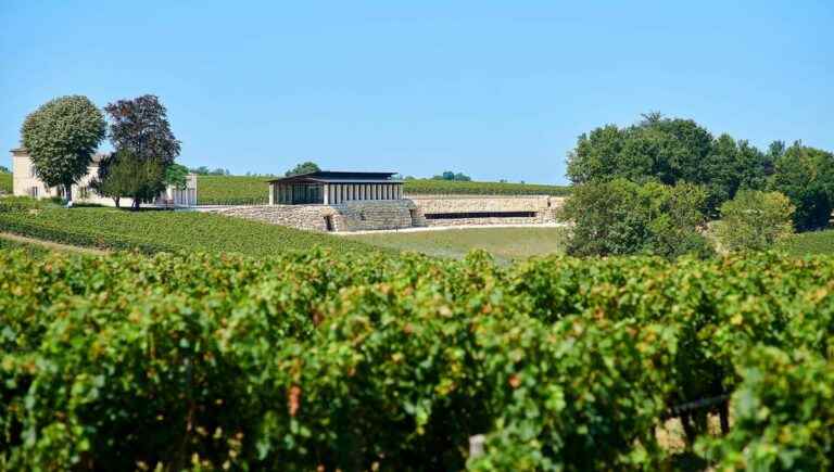 Guided and free architectural tour of the cellar and vat room of Château Valandraud