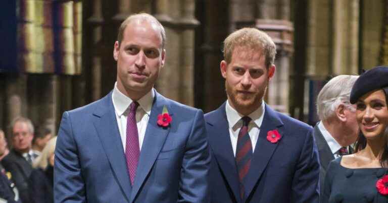 Harry and William: The princes closer than ever, “there has been effort on both sides”