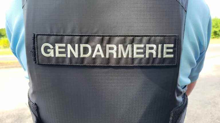 He fires several shots in the air south of Toulouse and is arrested by the gendarmes