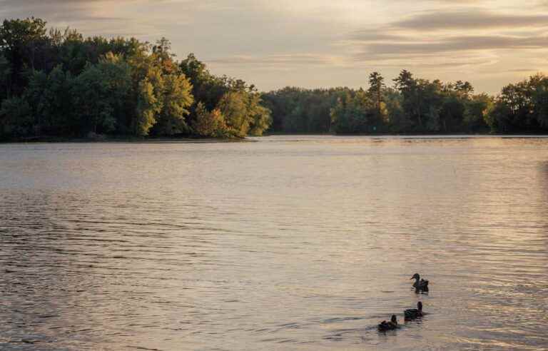 Health and the environment at the heart of the debates in Laval