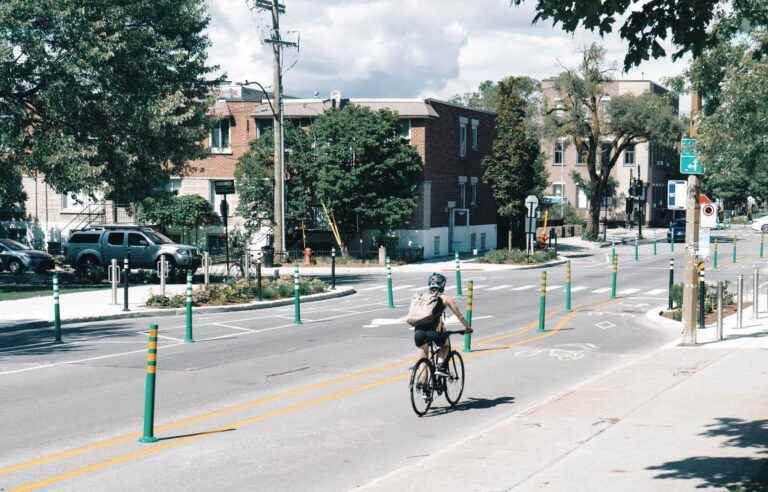 Healthy and equitable youth-friendly cities