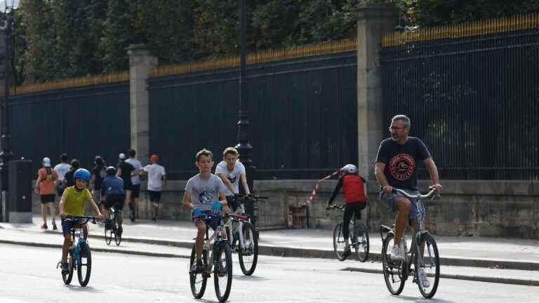 “I wonder if there is not a confusion between the war on cars and the war on pollution”