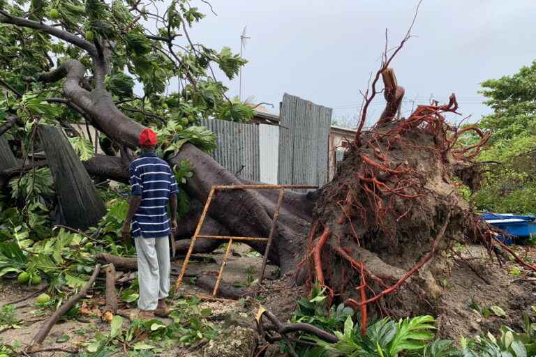 IMF Climate Change Fund |  Barbados to get $300m loan