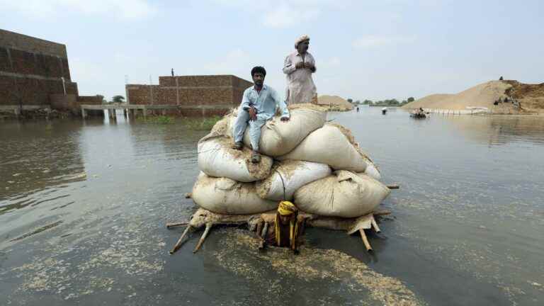 IN IMAGES, IN PICTURES.  Pakistan victim of deadly floods, described as “climate carnage” by the UN