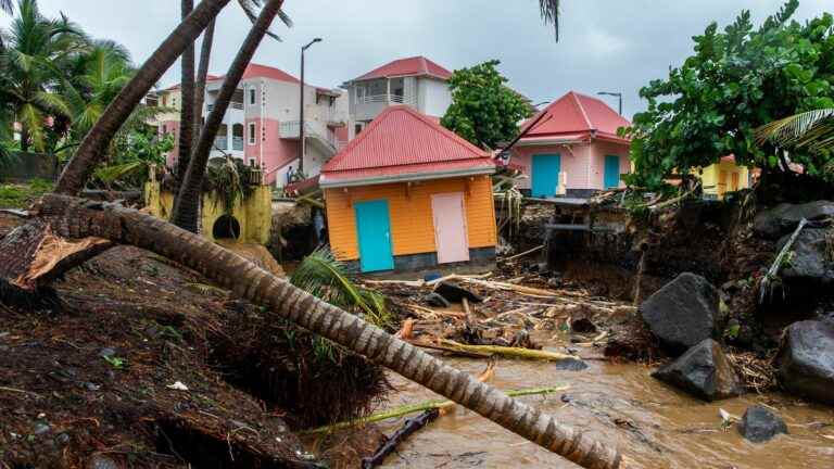 “Images of desolation” in Guadeloupe, describes the mayor of Basse-Terre