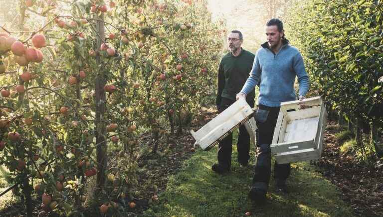 In Creuse, a former municipal stadium has been transformed into an associative orchard