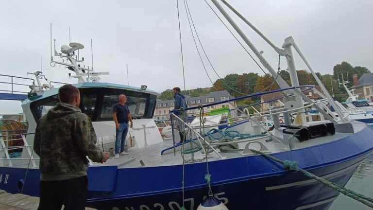 In Port-en-Bessin, fishermen between confidence and caution at the dawn of the scallop season