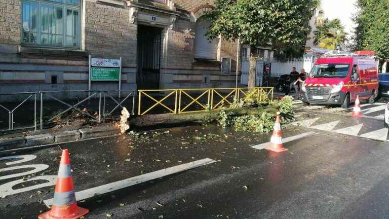 In Rennes, a tree falls on a car in circulation