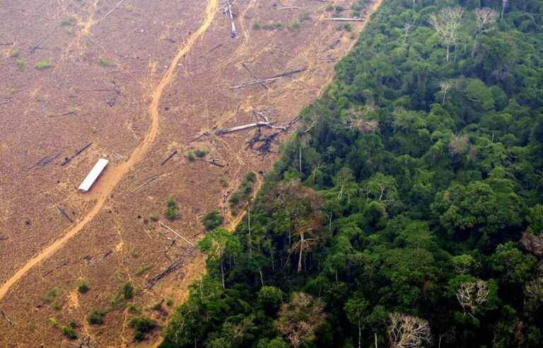 Indigenous leaders warn that 26% of the Amazon is forever destroyed