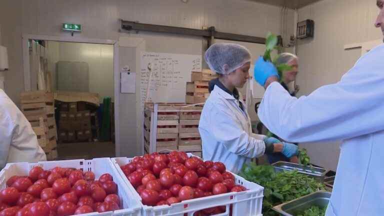 Is a shortage of vegetables to be expected in France?