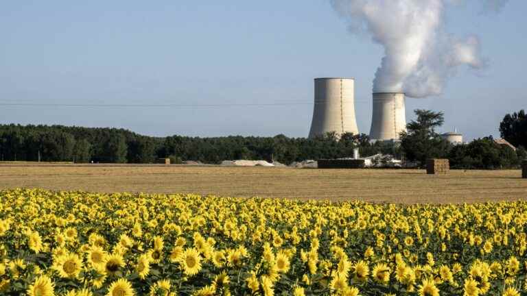 Is the return to service of all French nuclear reactors this winter a realistic objective?