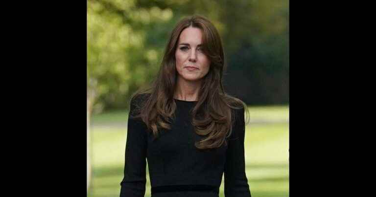 Kate Middleton: A famous popstar almost took her place in William’s heart