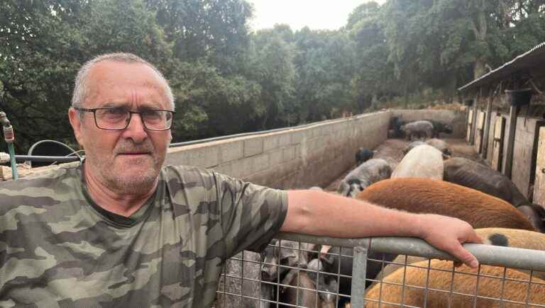 Martin Bracconi, pig farmer in Peru è Casevechje