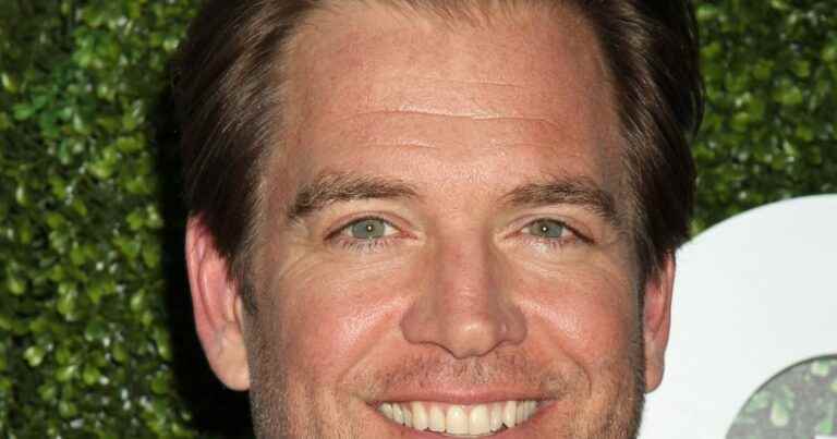 Michael Weatherly (NCIS): This heavy health concern that kept him away from his wife Bojana