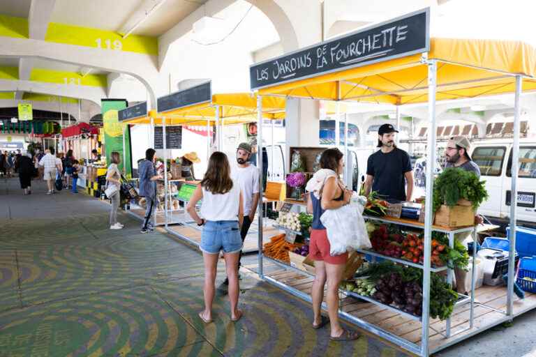 Montreal Public Markets |  Place for the next generation