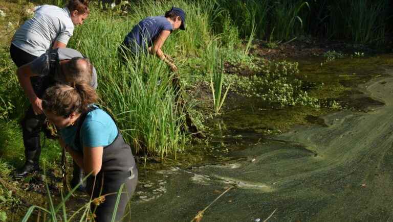 Nature fishing workshops, what are they?