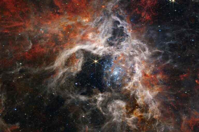 New details of the Tarantula Nebula revealed by the James Webb Telescope