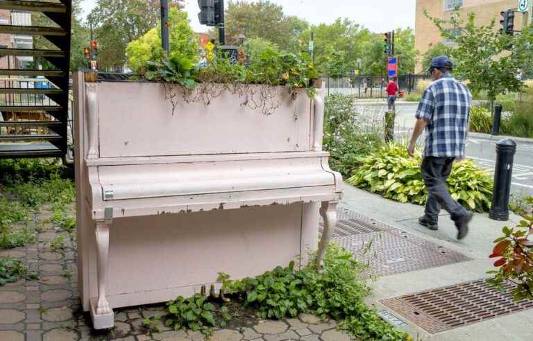 Old pianos have become bulky in Quebec homes