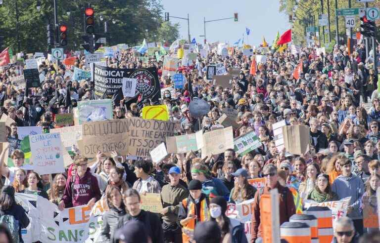 [Opinion] Clearcutting in the Forest of Activism