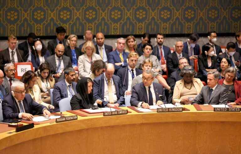 [Opinion] The impossible reform of the Security Council