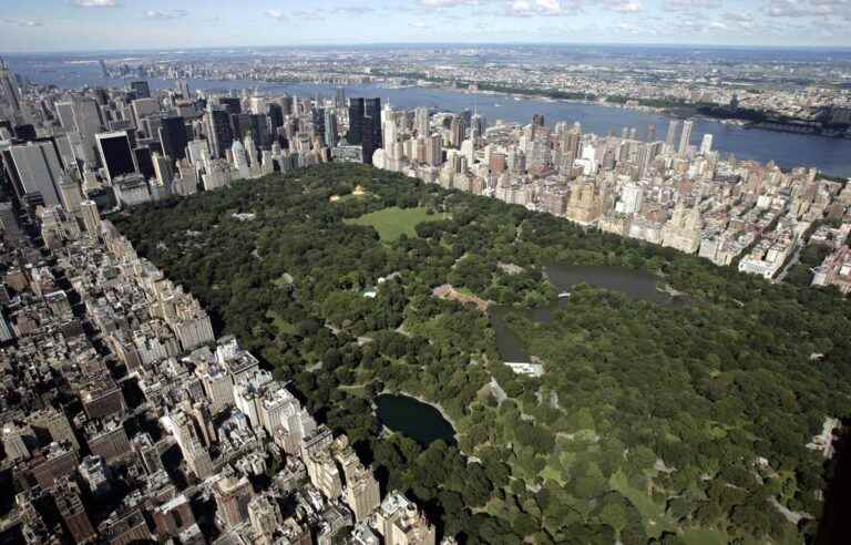 [Opinion] What would New York be without Central Park?