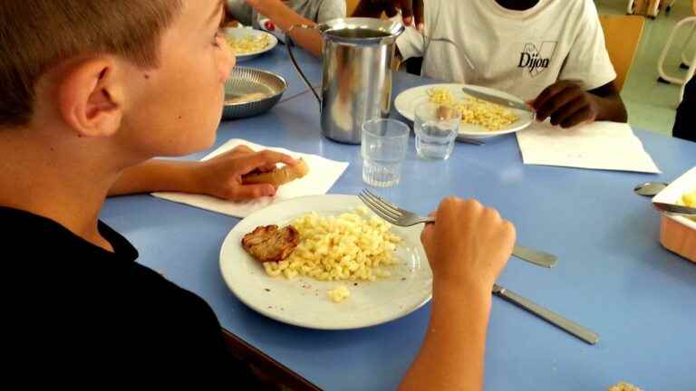 Organic settles in the canteen