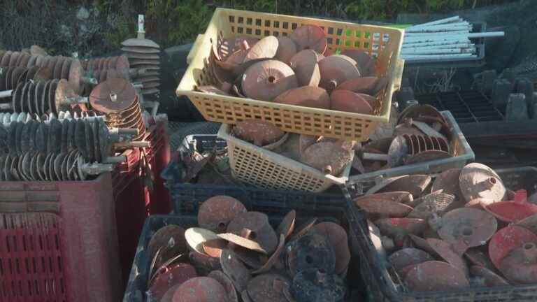 Oyster farmers: recycled plastic waste