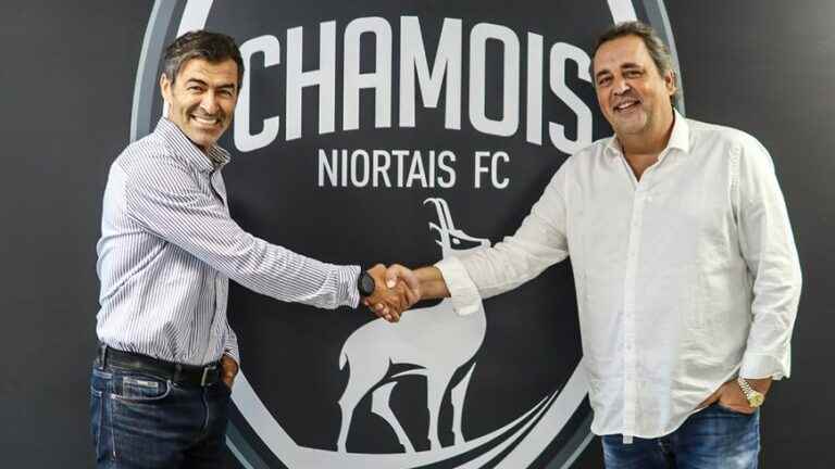 Portuguese technician Rui Almeida new coach of Chamois Niortais