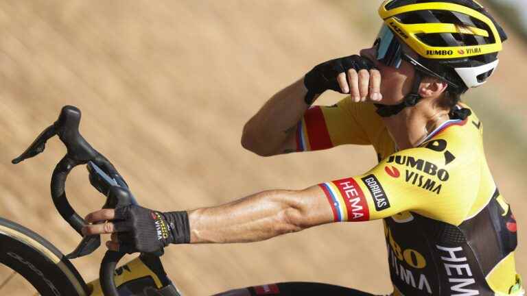 Primoz Roglic falls heavily 100 meters from the finish, Mads Pedersen wins the 16th stage