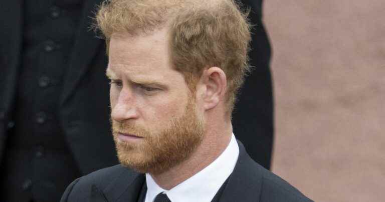 Prince Harry: This astronomical sum he paid on the day of the death of Elizabeth II, for his private jet