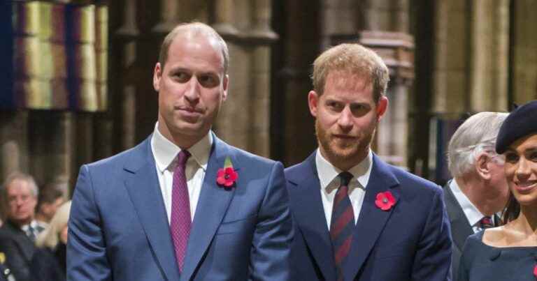 Prince Harry and Prince William: this crucial condition to be able to find each other