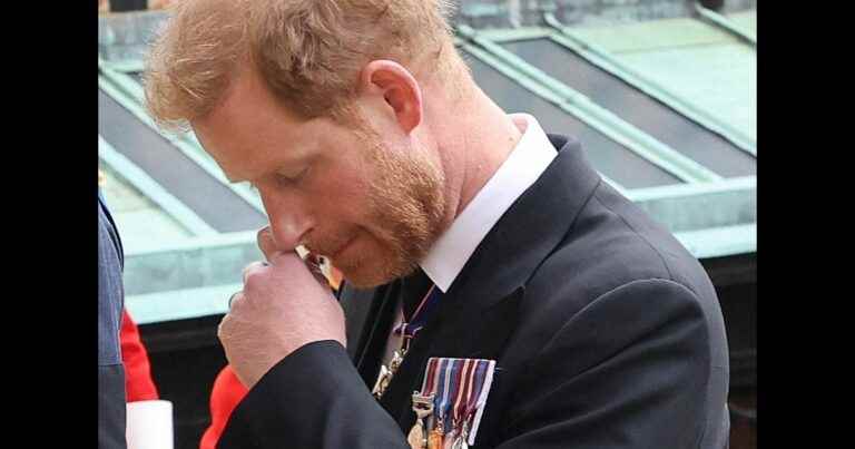 Prince Harry “in panic” and desperate: after having said too much, he is ready to do anything to go back