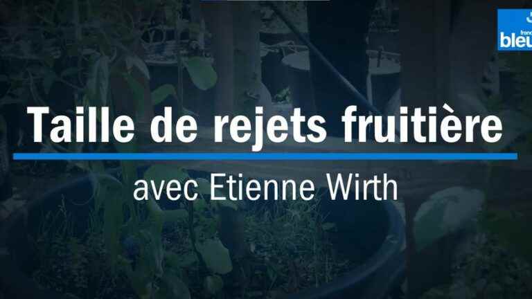 Pruning fruit trees with our expert Étienne Wirth