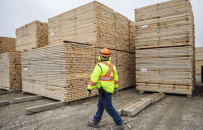 Québec solidaire wants to export less lumber