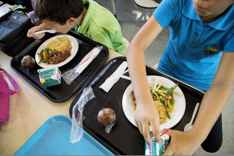 Québec solidaire wants vegan meals in schools and hospitals