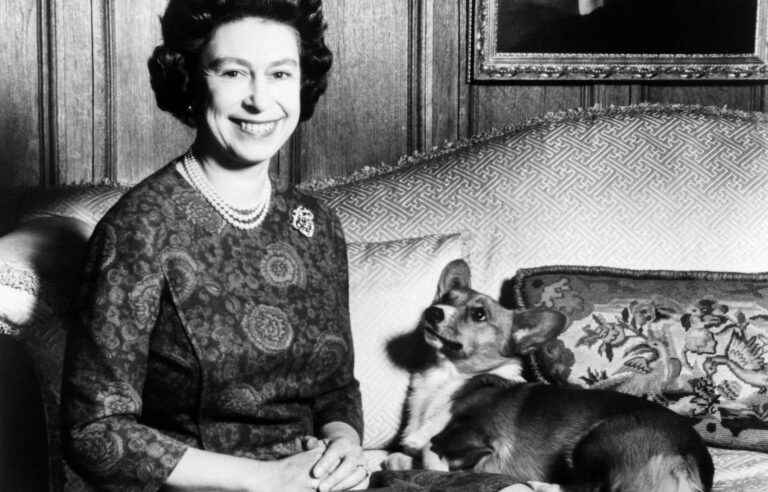 Queen Elizabeth’s corgis will remain in the royal family