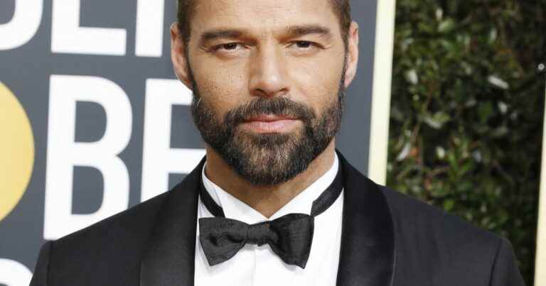 Ricky Martin accused of incest by his nephew: new twist in the case