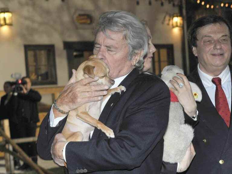 “Send me the two enc…. who did that!”, Alain Delon explodes, Milla Jasmine supports him!