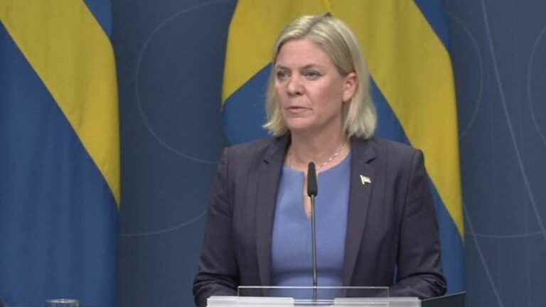 Swedish Prime Minister announces resignation