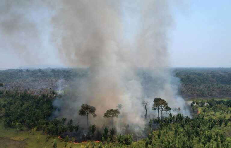 The Amazon is burning at the ‘new frontier of deforestation’